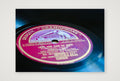 Disque Gramophone — A4 (30×21cm, 12×8") Print only
