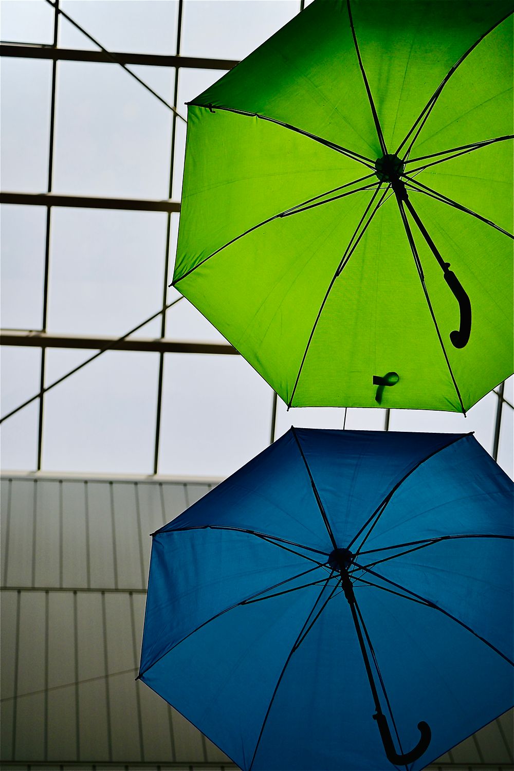 Parapluies Bleu et Vert #2