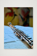 Flute — A4 (21×30cm, 8×12") Print only