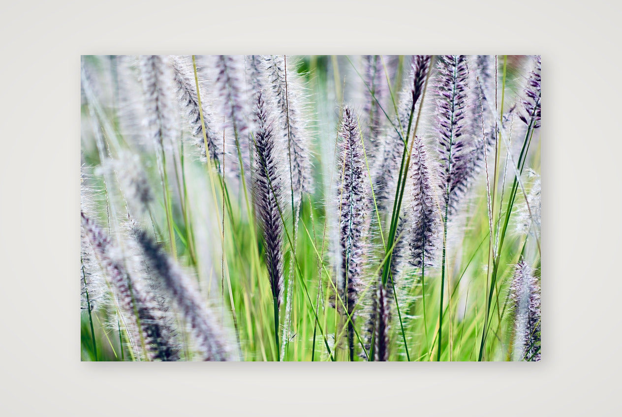 Untitled — 60×40cm, 24×16" Print only