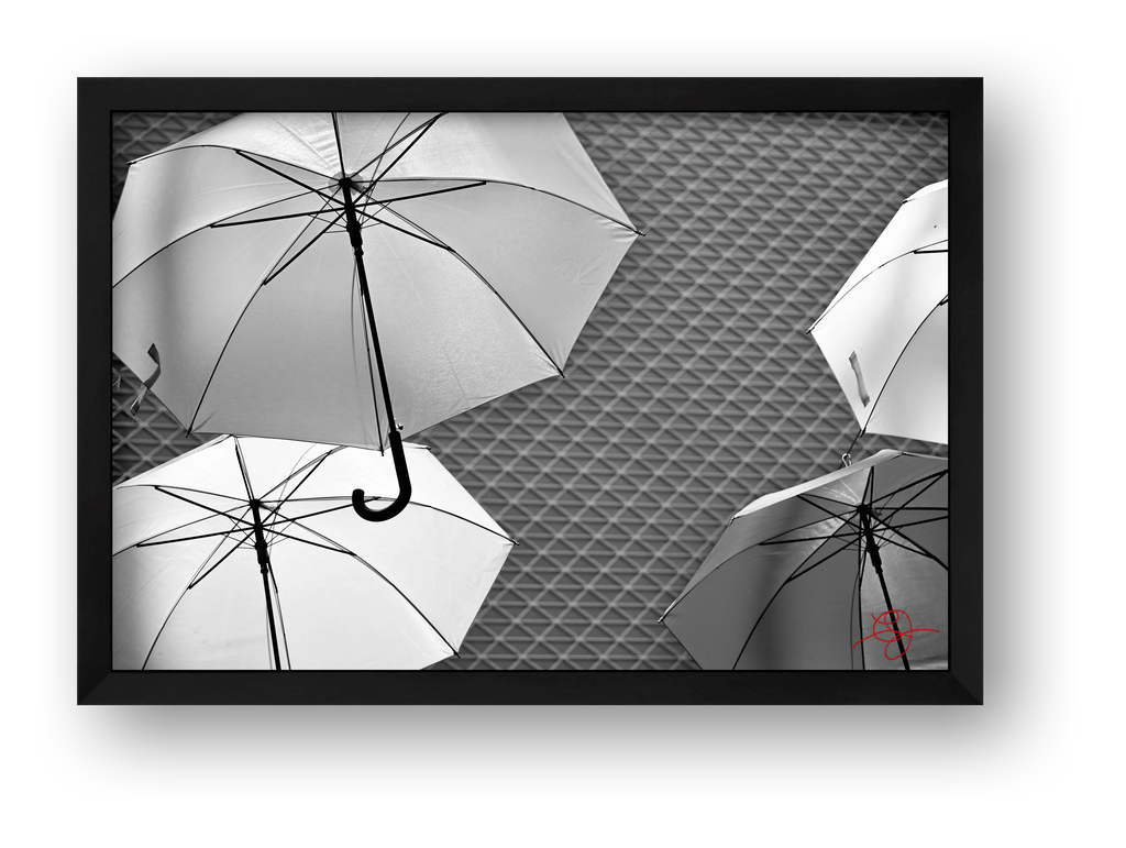 Parapluies B&W — framed