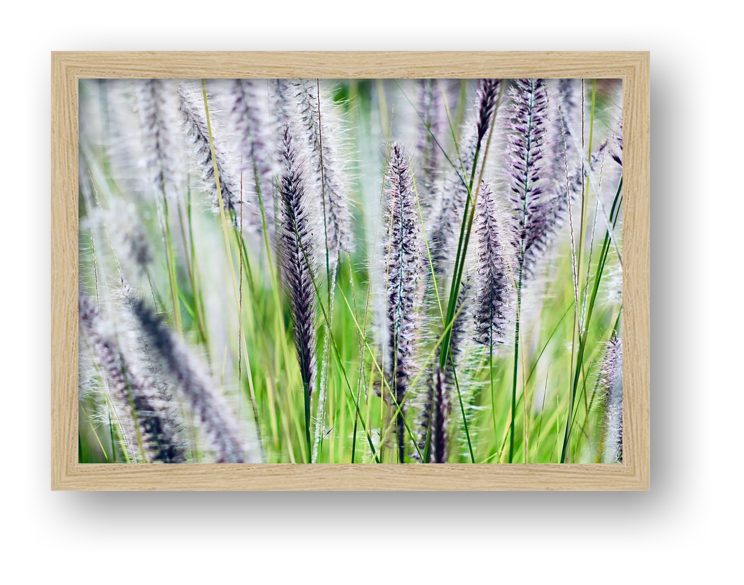 Untitled — framed