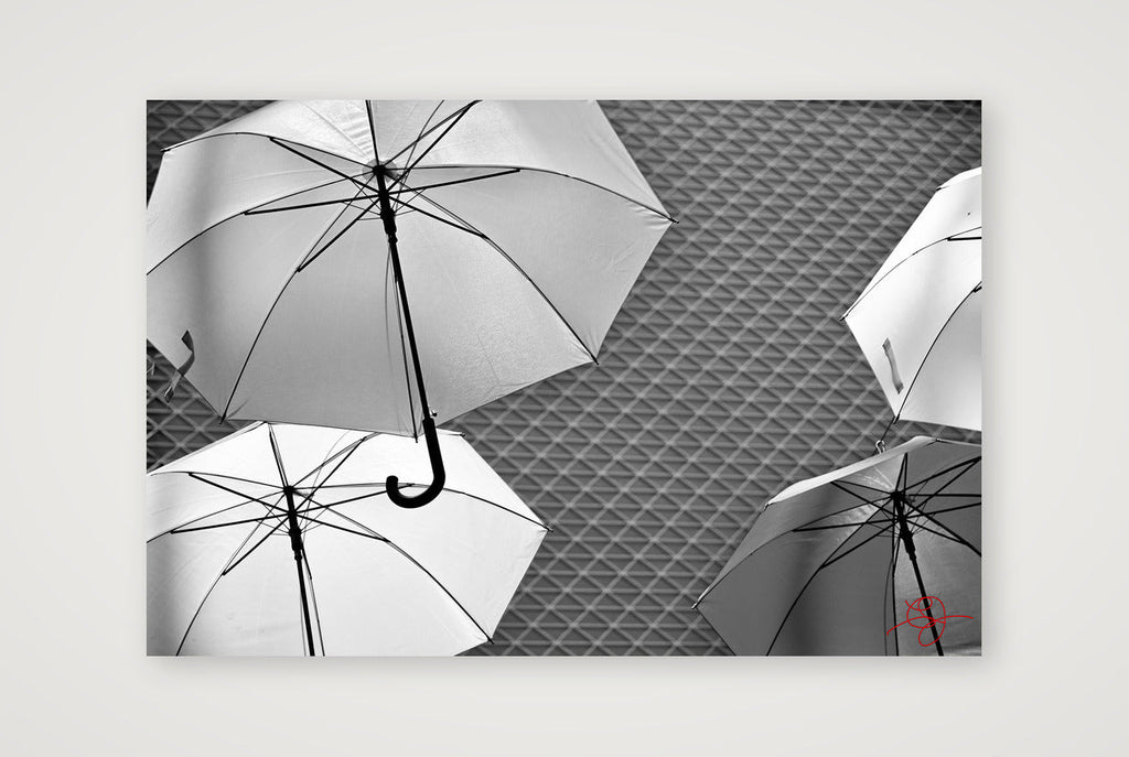 Parapluies B&W — 45×30cm, 18×12" Print only