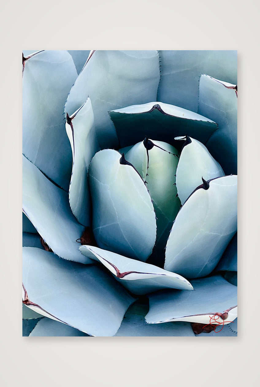 IMG_9853 — 30×40cm, 12×16" Print only