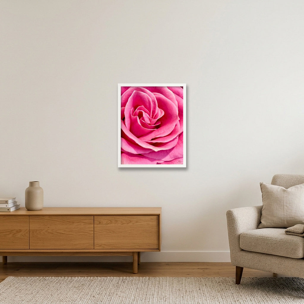 Rose — 40×50cm, 16×20" White Frame