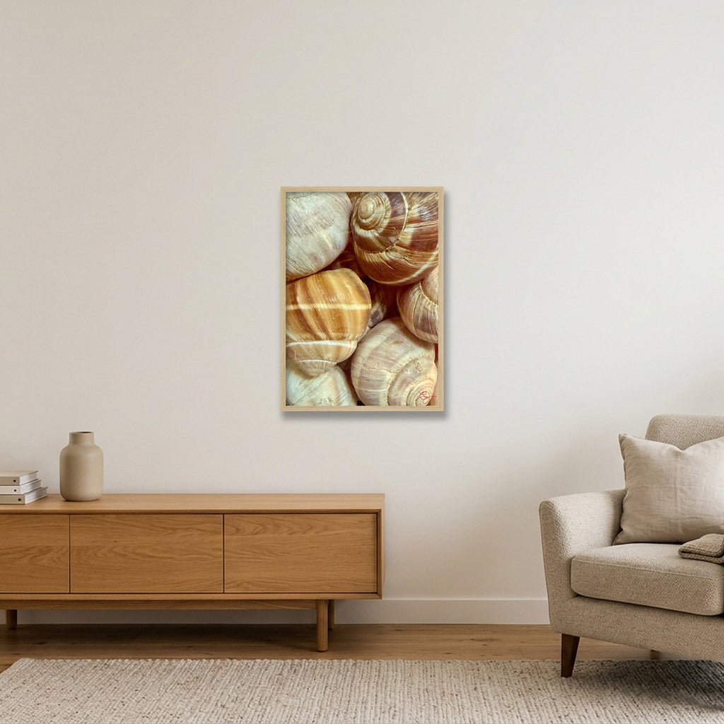 Escargots — 42×59cm, 17×23" Oak Frame