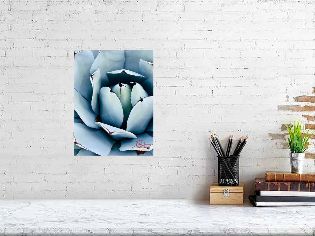 Cactus #1