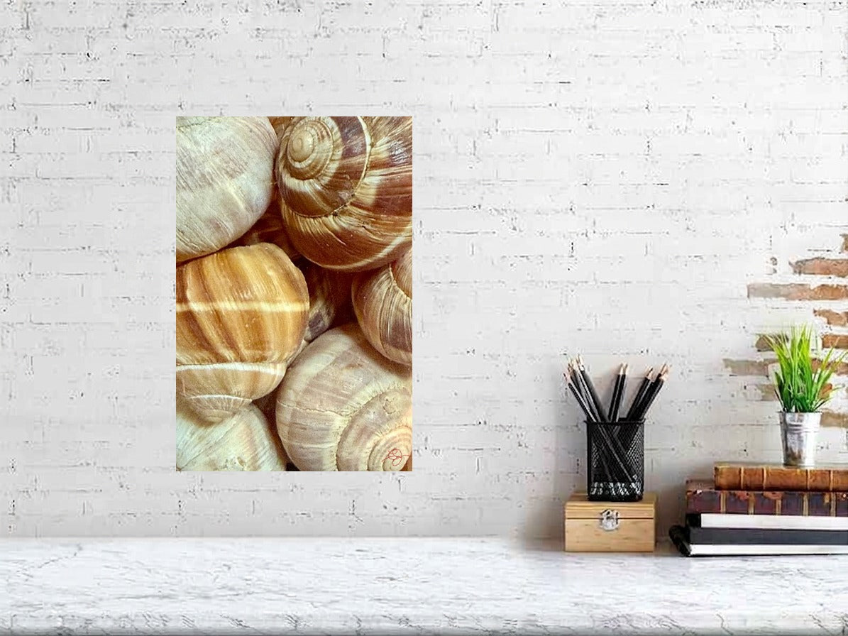 Escargots