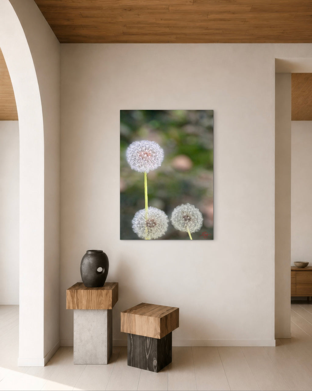 Dandelions