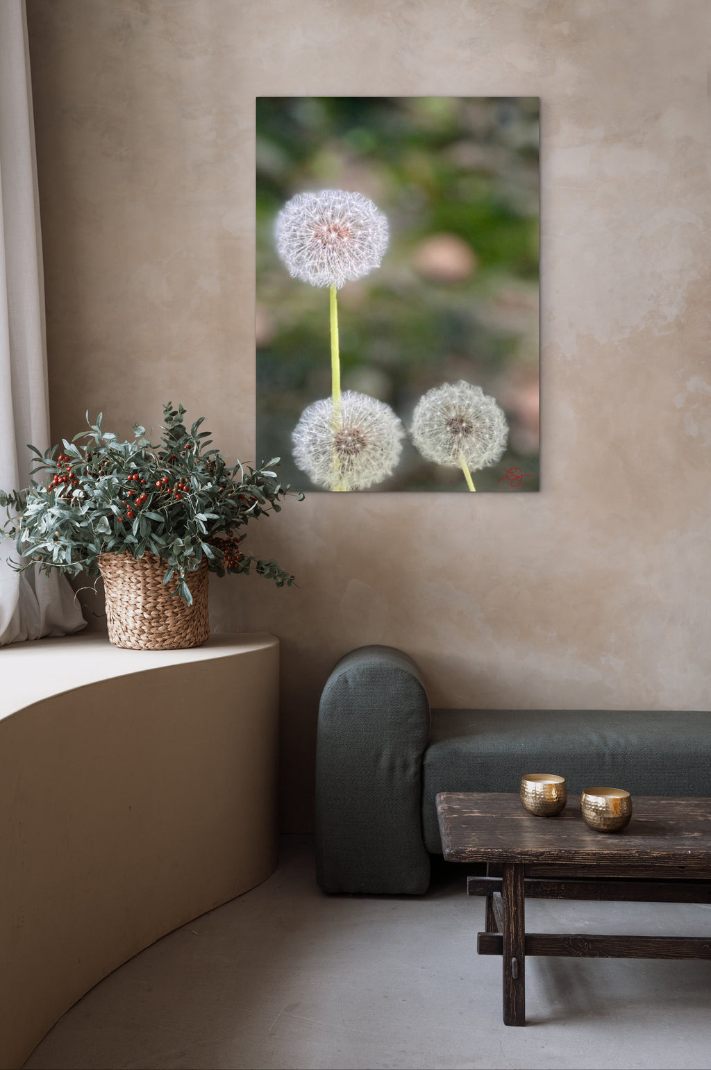Dandelions