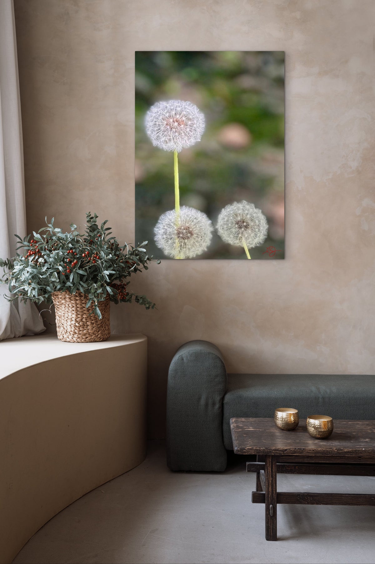 Dandelions