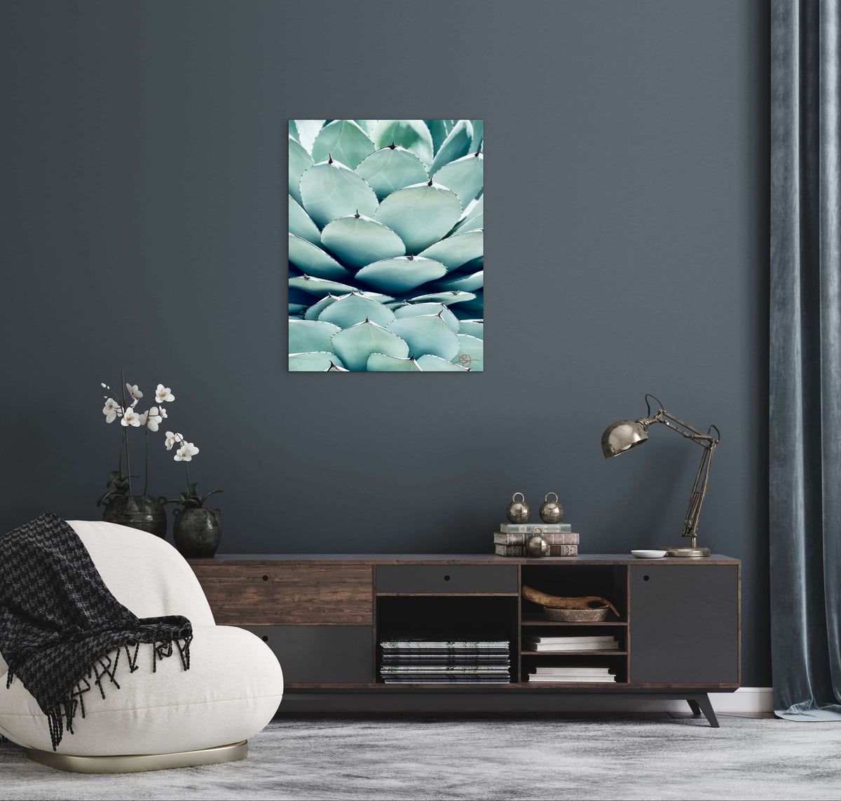 Cactus #2