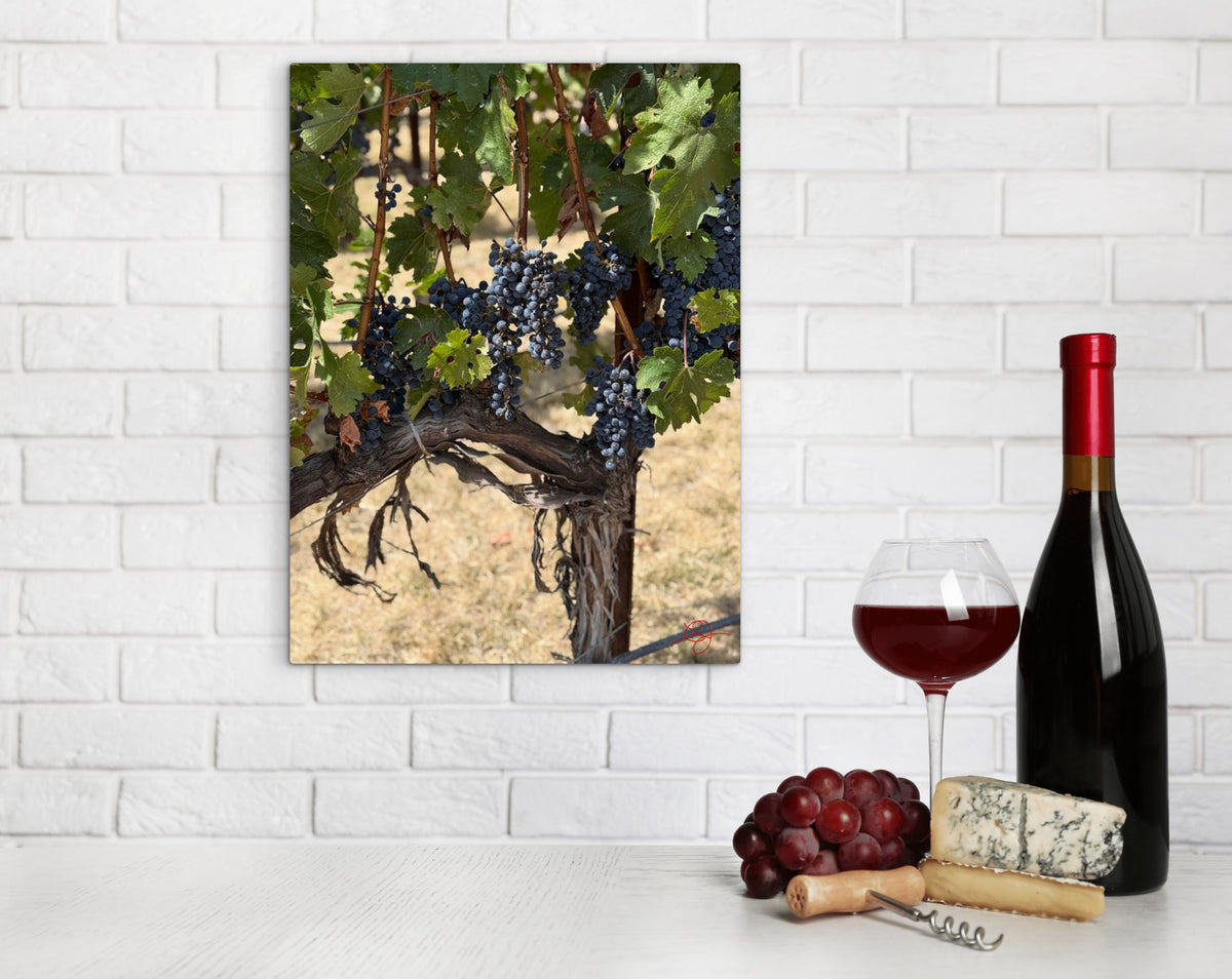 Napa Grapevine