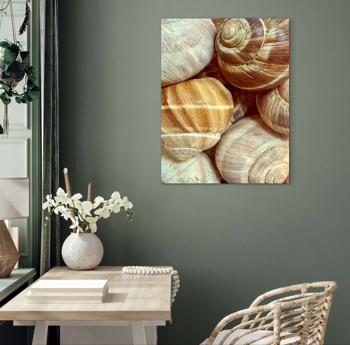 Escargots