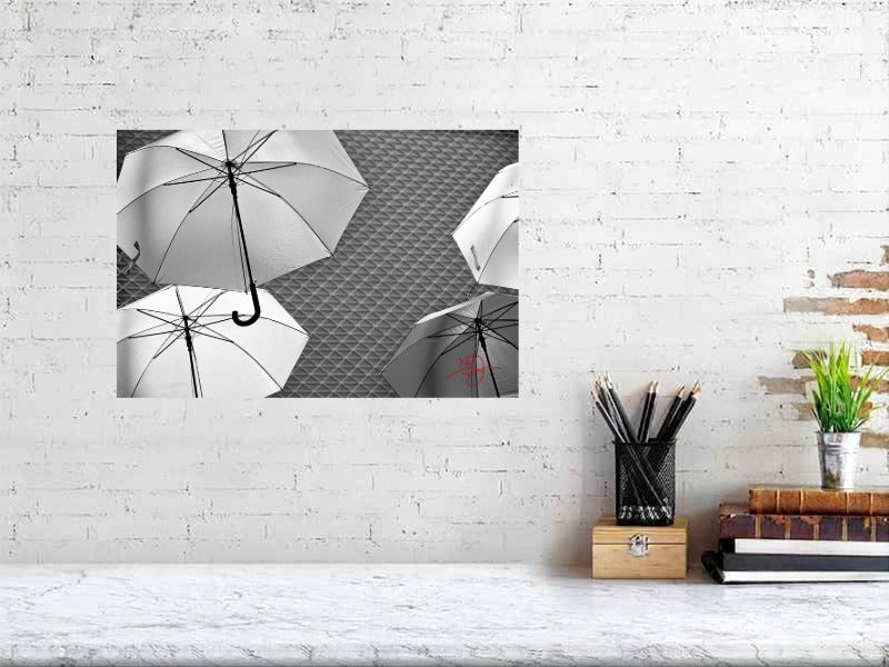 Parapluies B&W