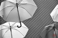 Parapluies B&W