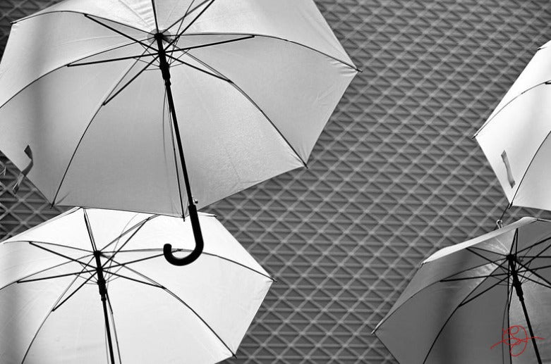 Parapluies B&W