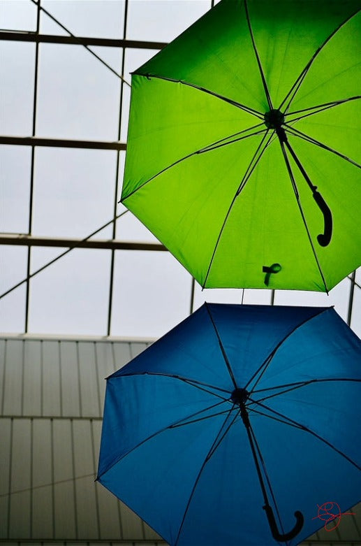 Parapluies Bleu et Vert