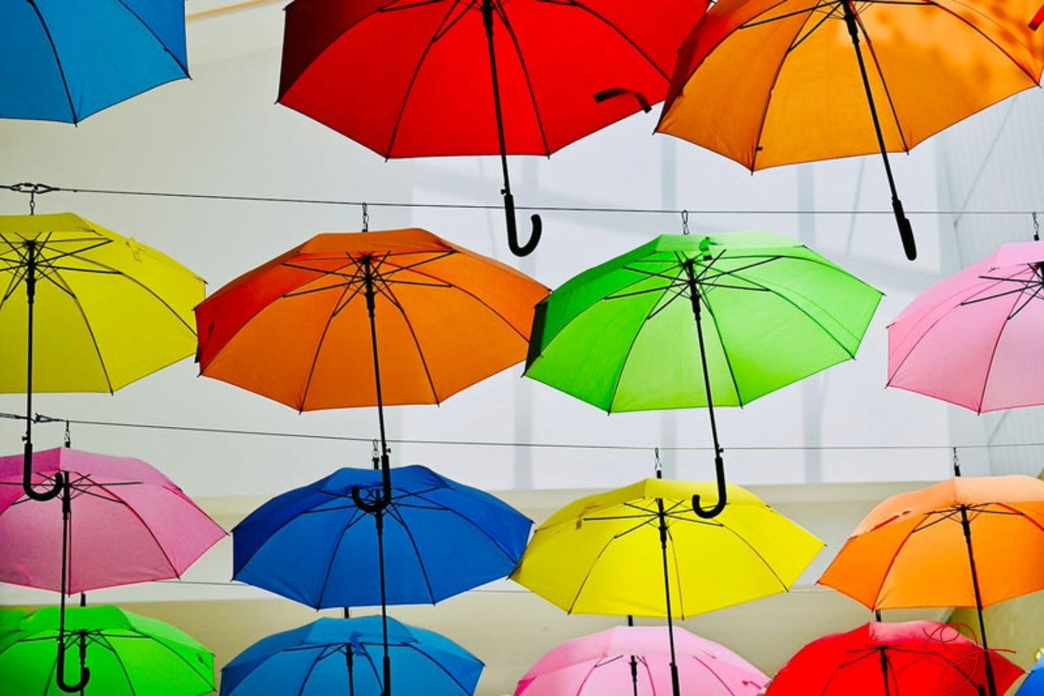 Parapluies #1