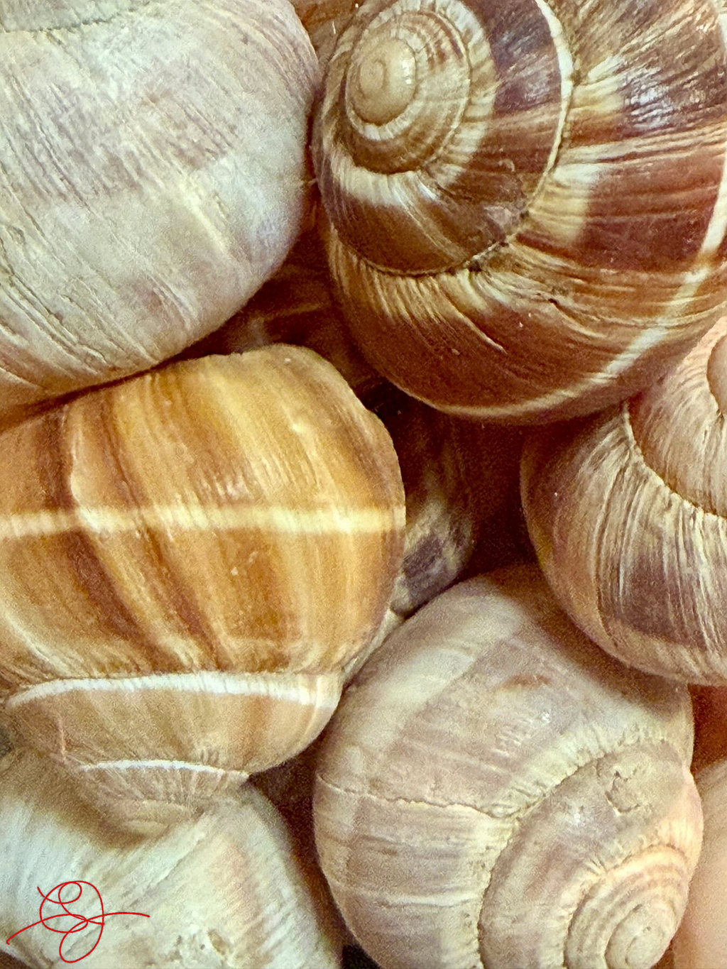 Escargots