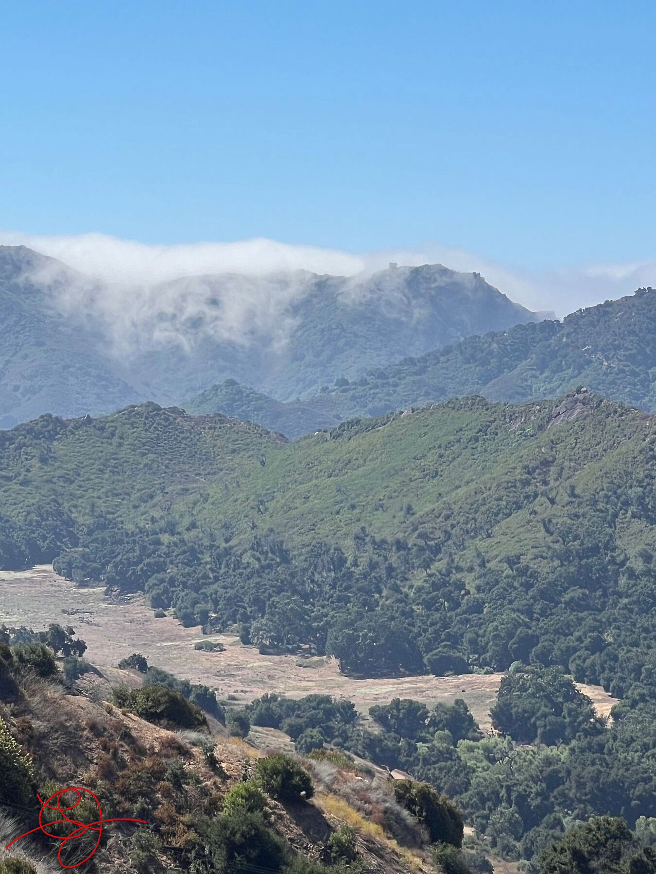 Malibu Mist