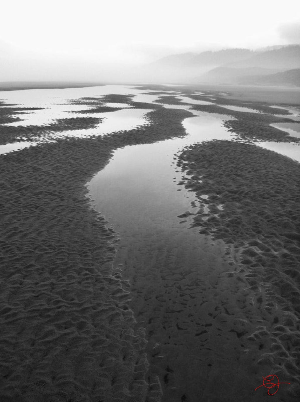 Washburne Beach #3