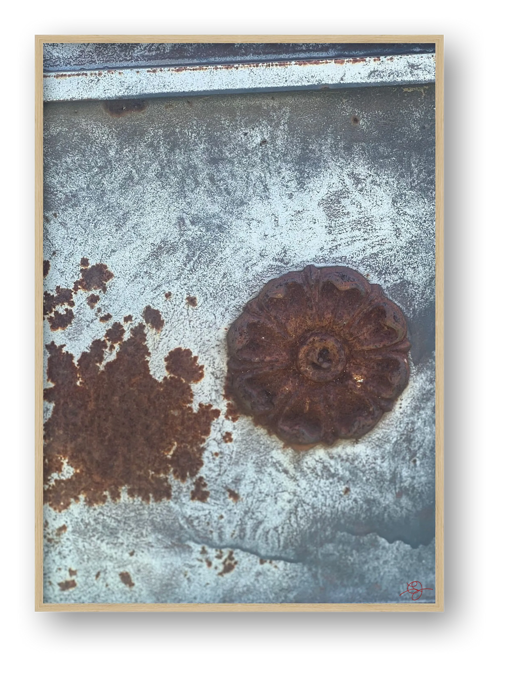 Rusty Flower — framed