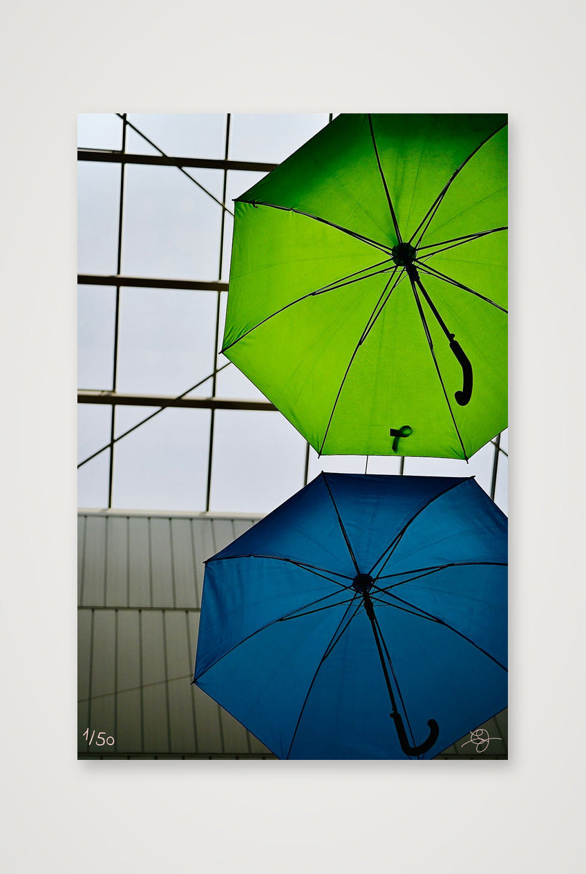 Parapluies Bleu et Vert #2 — 30×45cm, 12×18" Print only